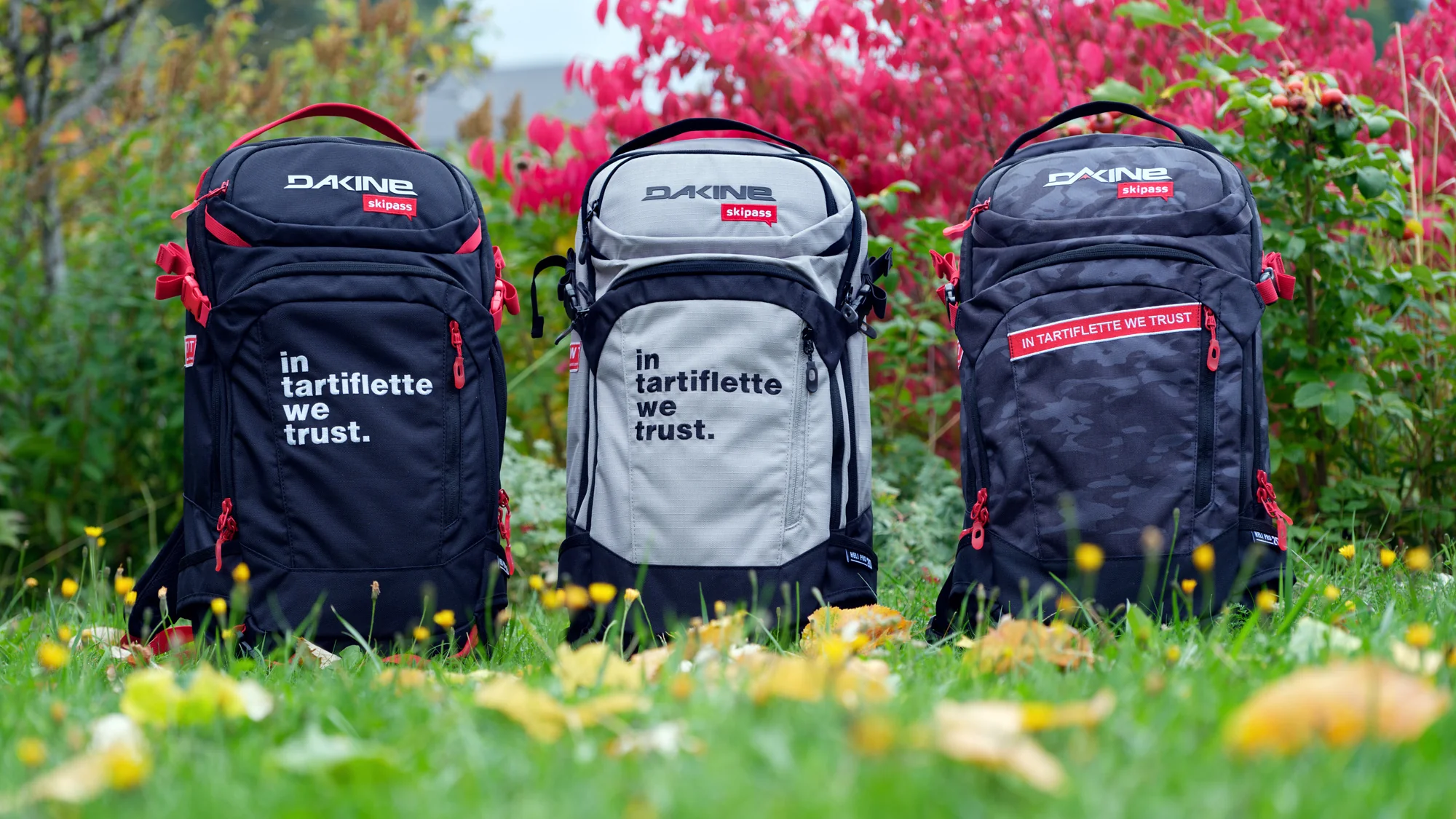 L'esprit Montagne Inégalable